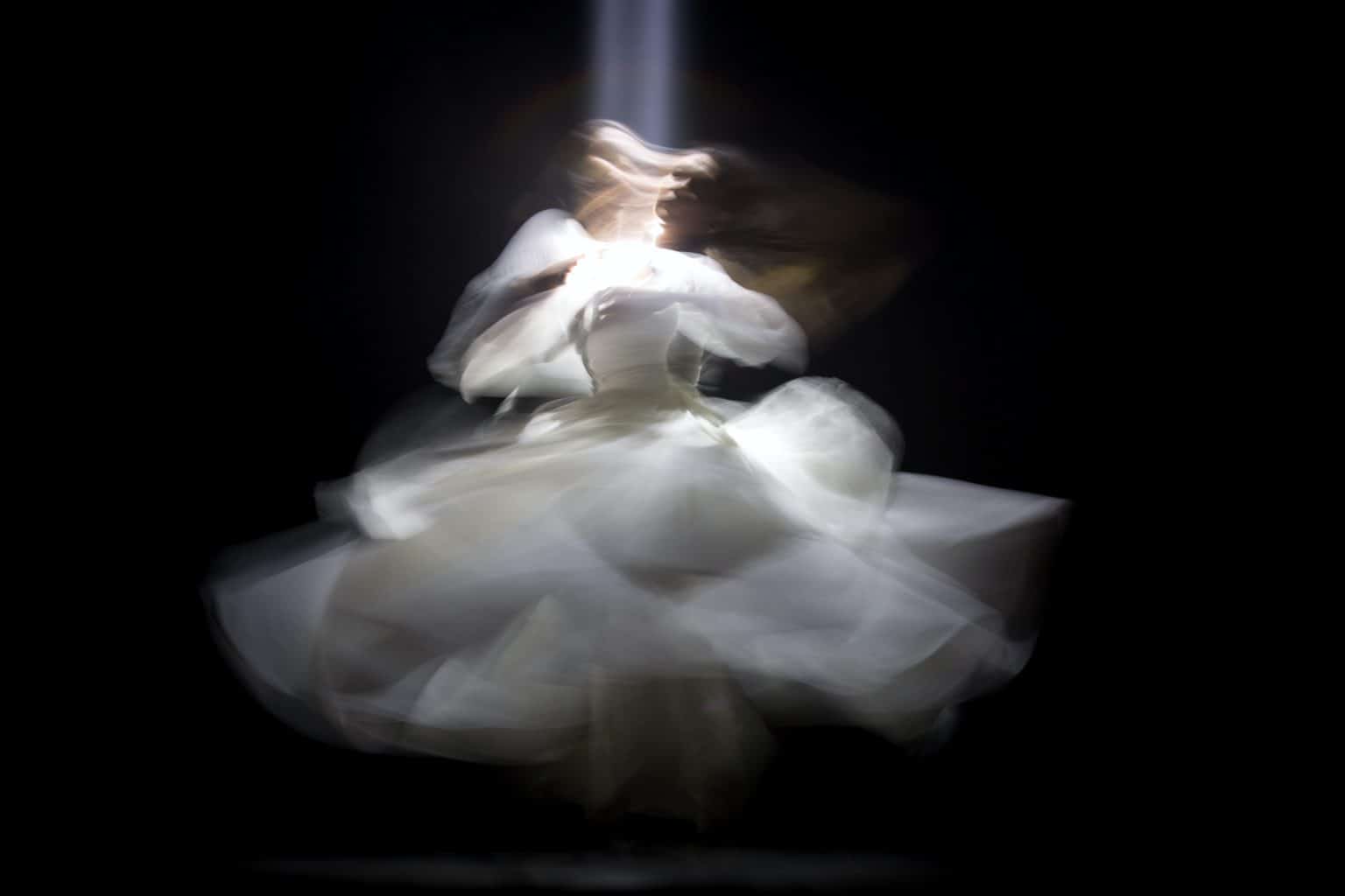 anima jung
