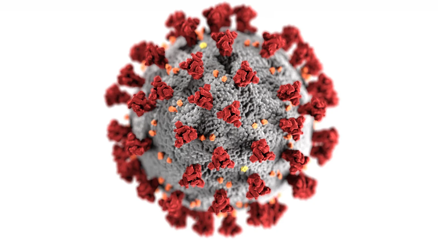 coronavirus e jung