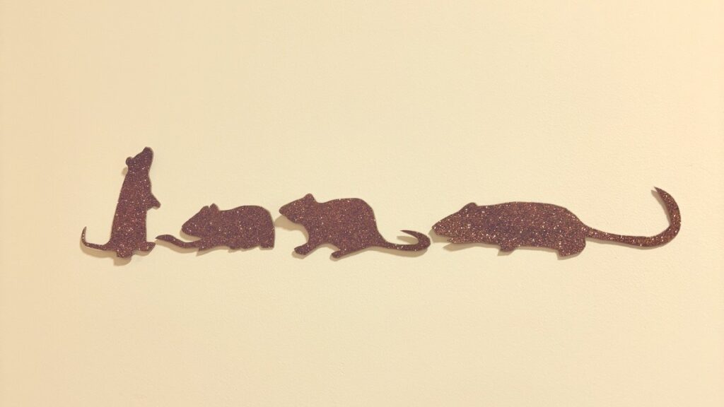 Este artigo toma como ponto de partida um símbolo recorrente nos sonhos: o rato, que surge em diversas cenas psíquicas do sonhador.