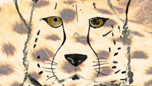 O artigo explora o fenômeno da projeção, da constelação de complexos e da sincronicidade a partir de uma experiência pessoal da autora com um casal de guepardos na savana africana. Um convite a exercitarmos o olhar simbólico para os acontecimentos da vida e refletirmos sobre nossa inevitável e intrincada participação neles. Há um dentro e um fora de nós, afinal? Seja qual for a resposta a esta pergunta, Jung nos convoca a direcionarmos o foco de atenção ao que entendemos como sendo nosso mundo interno, em busca de ampliação de consciência sobre nós mesmos.