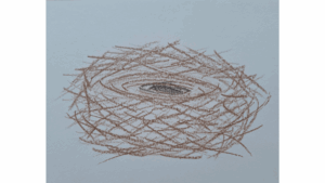 Entender a mulher contemporânea ajuda a compreender suas relações com a sociedade, parceiro/a (quando possui), filhos e consigo mesma. As estatísticas mostram que o papel de mãe está mudando, mas a sociedade ainda a coloca num lugar de abnegação em prol dos filhos. Refletir e tomar consciência sobre como essa identificação com o papel de mãe poderá gerar solidão, tristeza, dentre outros sintomas no ninho vazio é uma possibilidade de prevenção ao aparecimento da síndrome.